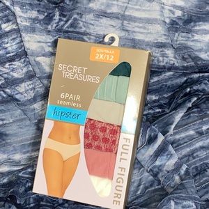 Size 2X Ladies Hipster Panties